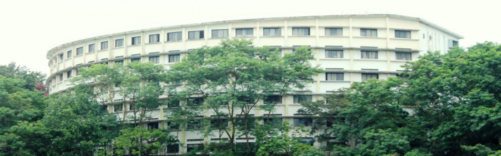 Direct Management Quota Admission Sinhgad College Pune